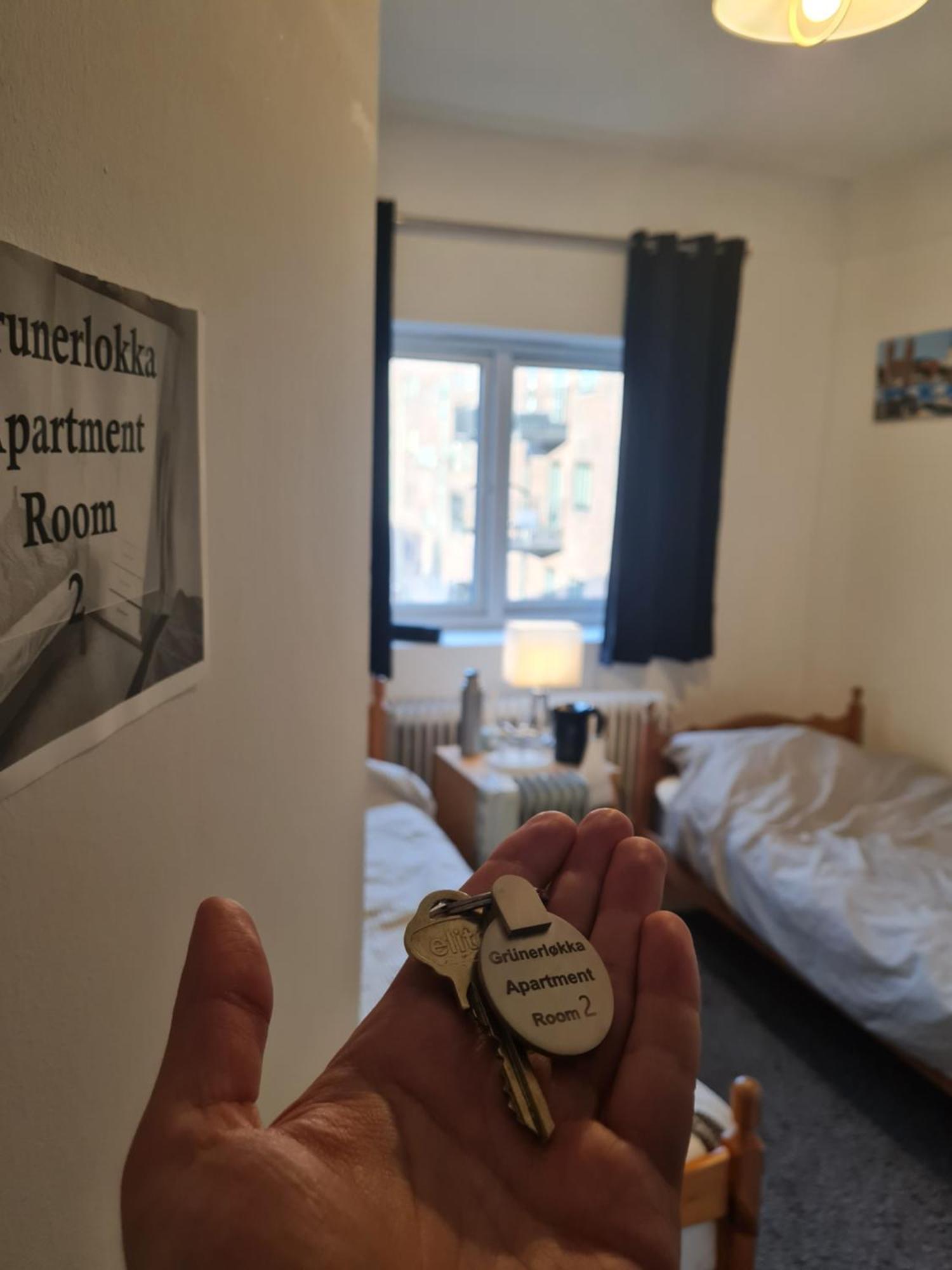 Private In To Roomsapartment * Oslo